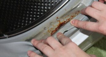 Чим відмити цвіль на гумці пральної машини. Три прості та дієві способи