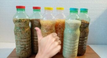 Як та в чому зберігати крупи. Головні секрети досвідчених господинь
